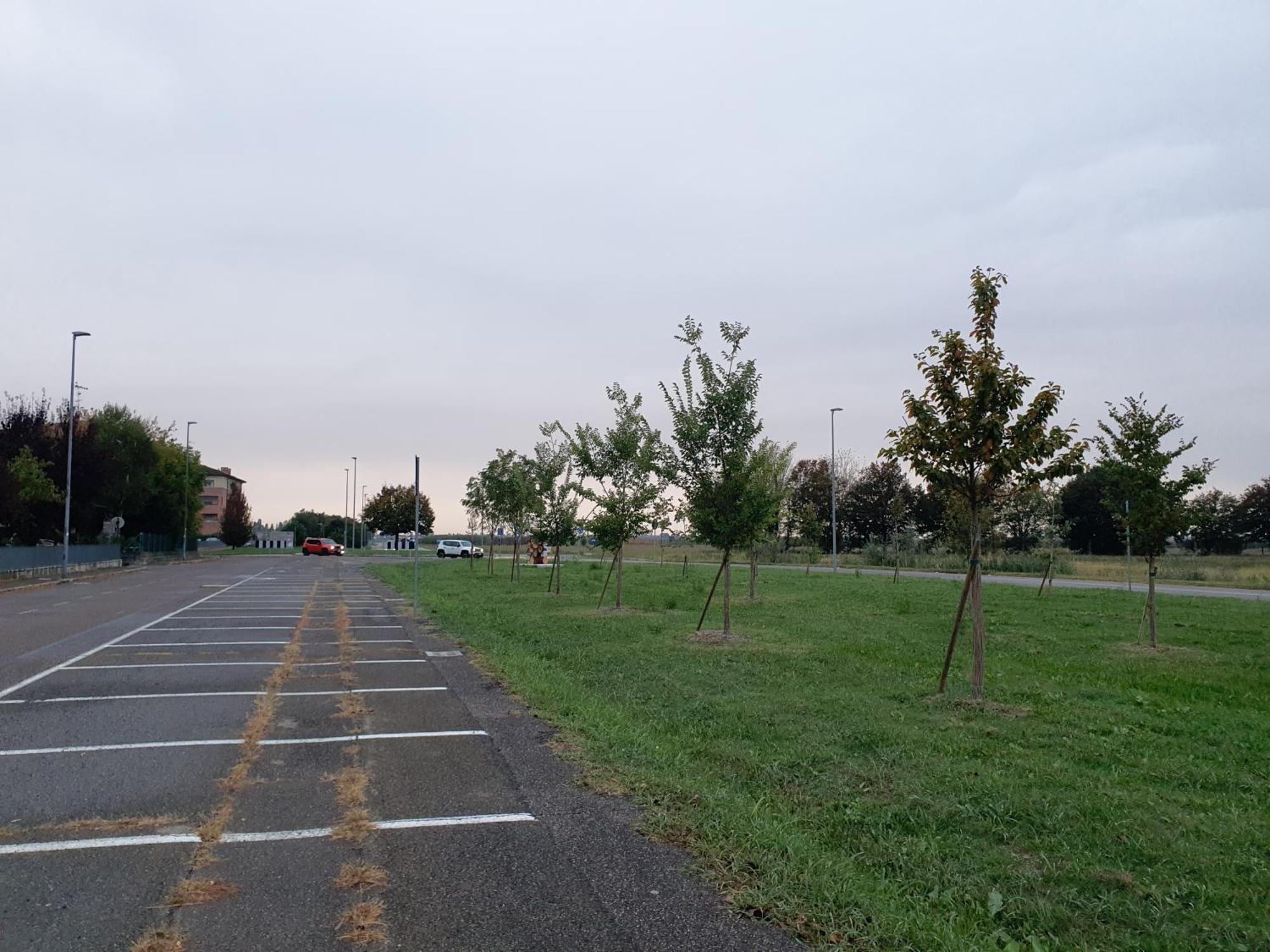 Appartamento Divino Tramonto Altedo Екстер'єр фото