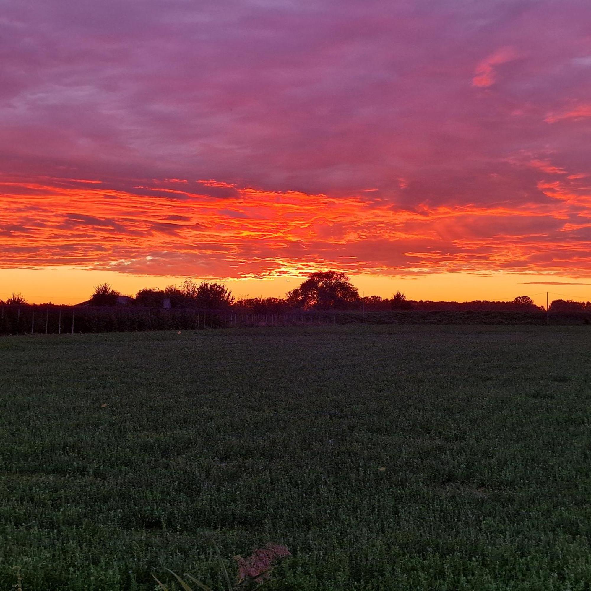 Appartamento Divino Tramonto Altedo Екстер'єр фото